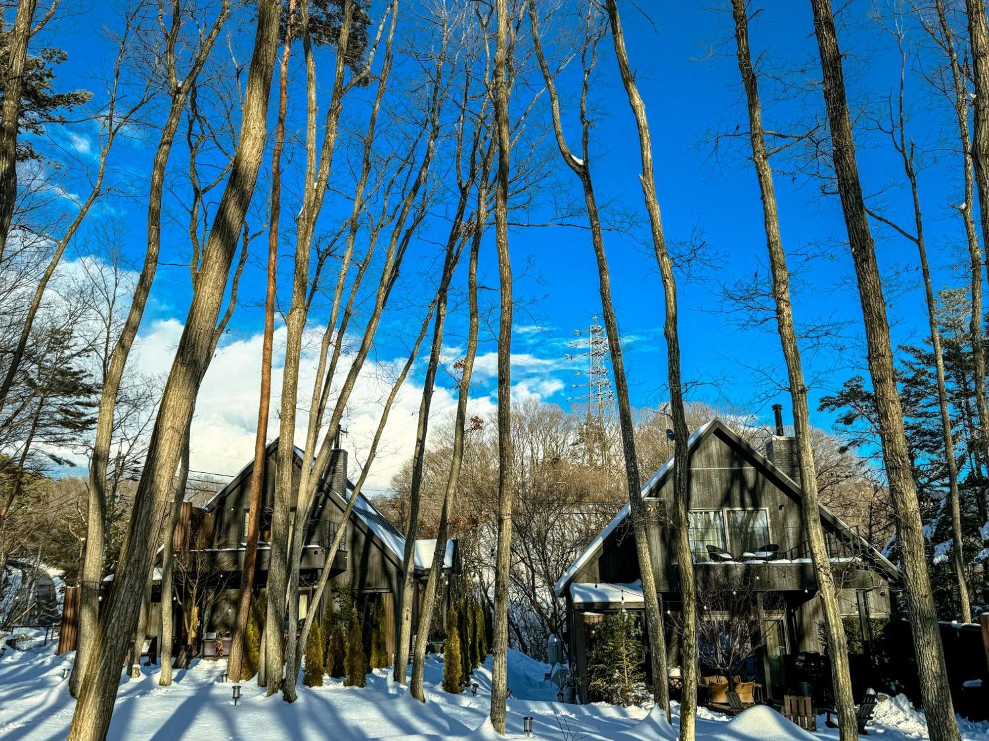 Sauna Forest Cabin 軽井沢 御代田　Mori-Asobi Oiwake Luaran gambar